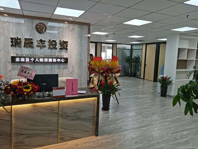 專業助力，信息賦能 探析廣西瑞晨豐商務信息咨詢服務有限責任公司的服務價值